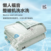 洁丽雅A类空调被夏凉被可水洗棉被夏季棉花填充被子单双人宿舍薄被夏被 字母【已质检 可裸睡】 双人夏被200*230cm