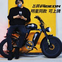 飞鸽;FLYING PIGEON电动自行车super73新国标可上牌助力山地越野男女通勤代步长续航复古电瓶车 【RX运动版】电量显示-三重减震-前后碟刹 30Ah纯电续航≤75KM【代步无忧】