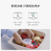 悠伴 you BAN） 果蔬清洗机家用洗菜机食材净化机全自动果蔬解毒机去农残消毒神器清洗蔬菜洗菜神器 白色