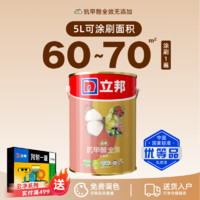 立邦 NIPPON PAINT 立邦 云净抗甲醛全效 乳胶漆 5L 哑光