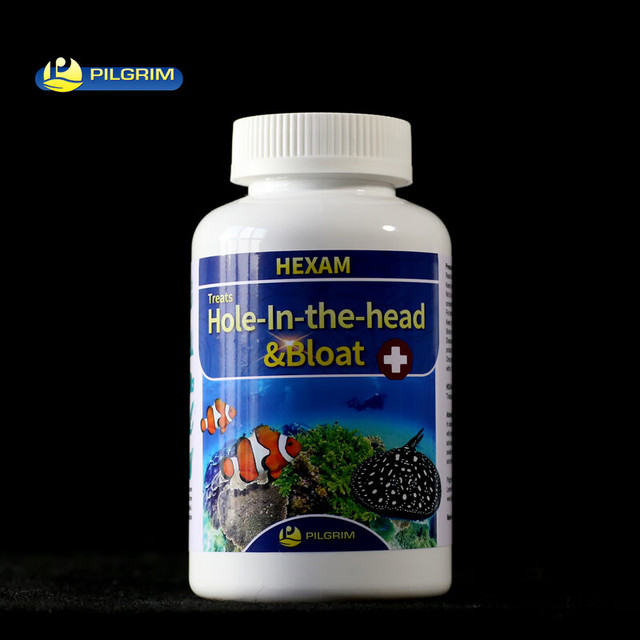 Pilgrim 佩格英国大白片水族观赏鱼龙鱼罗汉鱼七彩内寄头洞外寄凸眼非鱼药 内寄大白片