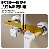 箭牌 ARROW淋浴花洒套装家用喷头精铜浴室卫生间花晒淋浴器龙头喷枪 （性价款）A款 【三功能冷热花洒】红点手持背喷出水