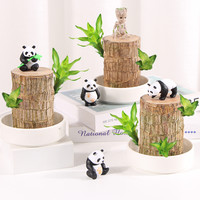 梵花拾光 巴西木水培植物 10厘米 格鲁特1个 含盆