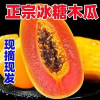 广西红心牛奶木瓜   带箱2.5斤 单果300g+（买一送一）