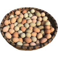 土鸡蛋农家散养新鲜纯农村自养天然40枚草鸡蛋笨鸡蛋乌绿壳蛋