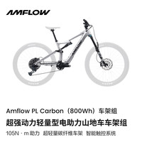 AMFLOW PL Carbon 电助力山地车架组 10136869736875
