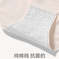 芬腾女士内裤抗菌棉质内裆中腰提臀三角裤女款性感薄款透气短裤头 FU2490289组合二 4条 XL :125-145斤