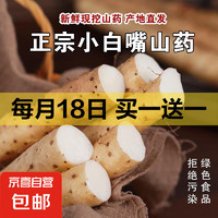 京喜 河北正宗小白嘴纯手工去皮铁棍山药 1000g 20cm-30cm/根