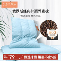 小绵羊 枕头商场同款花草枕纯荞麦枕俄罗斯进口决明子颈椎枕荞麦壳护颈 俄罗斯经典护颈荞麦枕(无枕套) 单个装