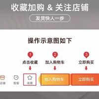 艾仕可 ASCOR ASK1653 壁挂式垃圾桶 9L 轻奢绿 橱柜门通用 可落地多场景使用