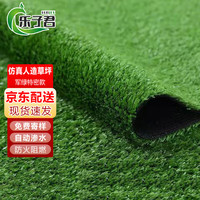 乐子君 仿真草坪地毯 1.5cm军绿特密款