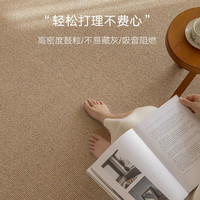 DEEMOON客厅地毯日式极简沙发茶几卧室防滑耐脏大面积防猫抓200*300cm 卡其色 200*300cm防猫抓
