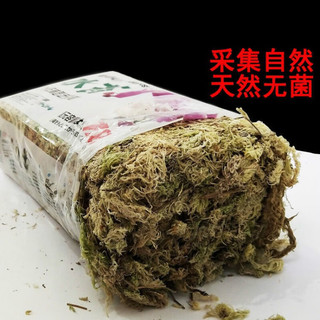 干水苔蝴蝶兰花栽培营养土食虫捕蝇猪笼草多肉石斛盆栽种植苔藓 干水苔