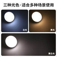雅尼（YANI） LED露营灯超亮超长续航野营灯户外挂灯便携式家用应急停电帐篷灯 F03-Pro+USB充电头