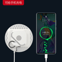 雅尼（YANI） LED露营灯超亮超长续航野营灯户外挂灯便携式家用应急停电帐篷灯 F02-Pro+USB充电头