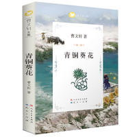 青铜葵花（本书《芦花鞋》入选全国统语文教材四年级·下，3-6年级课外阅读，7-14岁适读） 课外阅读 暑期阅读 课外书 青铜葵花（版）