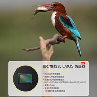 尼康（Nikon）Z50二代 Z5  Z30  Z63 微单相机清Vlog相机4K旅游高清照相机半画 尼康Z6 Mark 3 【高阶】全画幅 尼康单机身+18-140mm