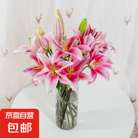百合 香水百合鲜花插花水养鲜切花云南直发居家水养办公室插花3 随机色香水百合3枝9朵
