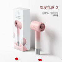 Vivid&Vogue 唯戈造型电吹风机高速负离子家用静音送女朋友礼物圣诞节闺蜜礼盒