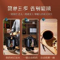 WESTT RIVER 西河中药电煎壶煎药壶家用全自动熬药罐电砂锅电药煲熬汤官方正品