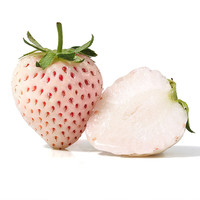欢乐果园(Joy Tree)白草莓白色恋人 250g礼盒装 单果15g+ 新鲜水果