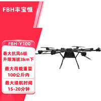 FBH 丰宝恒 FBH-Y100 八旋翼长续航搭载100kg载重运输无人机运输大载重100公斤运输无人机