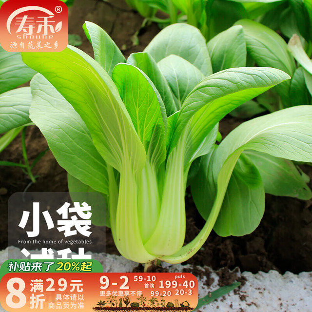 寿禾 油菜种子 矮脚上海青 1000粒