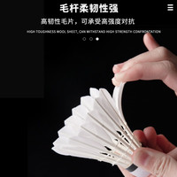 川崎(KAWASAKI)羽毛球训练系列训练用球稳定耐打训练比赛用球 【训练级 9C 6只装】 1筒