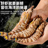 九节虾斑节虾大虾鲜活速冻 海虾斑节虾竹节虾黑虎虾新鲜虾基围虾 13-15cm 1000g