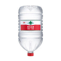 农夫山泉 NONGFU SPRING 饮用天然弱碱性水19L*1