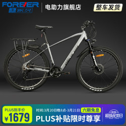 永久 F58 电动自行车 F58-摩天灰 26寸10A舒适版