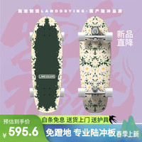 陆地制燥 Land Drying 陆地冲浪板成人初学者陆冲板弹簧桥专业路冲板