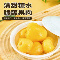 宝峰鲜果枇杷膏糖水商用水果567g克罐头无添加剂大罐琵琶无添加