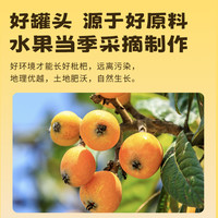 宝峰鲜果枇杷膏糖水商用水果567g克罐头无添加剂大罐琵琶无添加