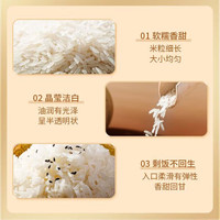 兴美佳新米生态一级大米不抛光油粘米晚籼丝苗米长粒香米 2024新米晚稻【长粒香米10斤】