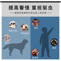 怪兽村MonsterV芬苯达唑片6片/盒 驱虫药猫咪狗狗宠物体内驱虫蛔虫绦虫线虫抗蠕虫 猫狗通用|内驱|芬苯达唑片6片