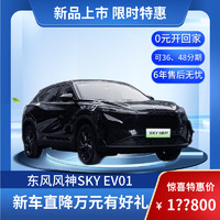 东风风神 SKY EV01 445km PRO 2024款 新能源汽车