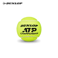 邓禄普（DUNLOP）网球ATP球专业比赛巡回赛胶罐AO球澳网训练比赛耐打高弹性网球 3粒装ATP训练球 601626 6桶 3粒装ATP胶罐 601332