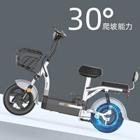 宝岛新国标电动车自行车大容量超威铅酸可上牌电瓶车代步助力长续航家庭代步首选男女通用大容量续航 -48V铅酸-续航45公里 遥控解锁