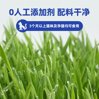 唯特医生猫草片猫咪化毛球片化毛膏猫咪维特祛除毛球120片
