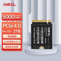 金邦 GeIL 2TB SSD固态硬盘NVMe 2230 M.2接口(PCIe4.0