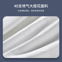 睡眠博士双宫茧蚕丝被100%桑蚕丝子母被二合一被空调被四季可用 白色