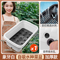 朵咔园艺 种菜专用盆自吸水家用阳台种菜盆加大加厚长方形塑料蔬菜种植花盆