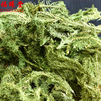 福曦堂 伸筋草 300克*2袋(共计600克)生伸筋草 中药材 别名石松 宽筋草 药材原料