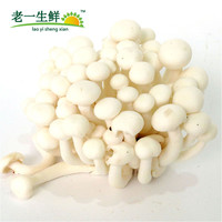 老一生鲜 新鲜白玉菇 150g/盒