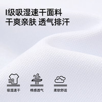 CAMEL骆驼女装polo衫2025夏季短袖吸湿速干衣透气翻领纯色t恤 【男女同款】M34BD03603 玉石白 S