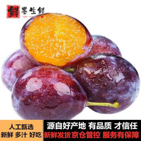 千朵云 新疆喀什西梅 法兰西咖师西梅宝宝布林李子中秋水果礼盒 3斤  纯甜多汁