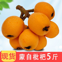 绿养道 云南蒙自新鲜枇杷果 新鲜水果 5斤