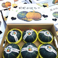 采蘩 CAIFAN山东真贝贝南瓜 板栗味粉糯老瓜 新鲜小南瓜 宝宝健康轻食 5斤 1箱（6个装）