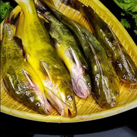 云映渔舟微山湖生态黄辣丁鱼新鲜活鱼现杀昂刺鱼黄颡鱼噶古鱼黄骨鱼淡水鱼 4斤黄辣丁（宰杀后损耗15％）